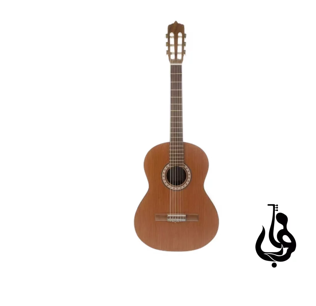 گیتار کلاسیک پارسی مدل M6